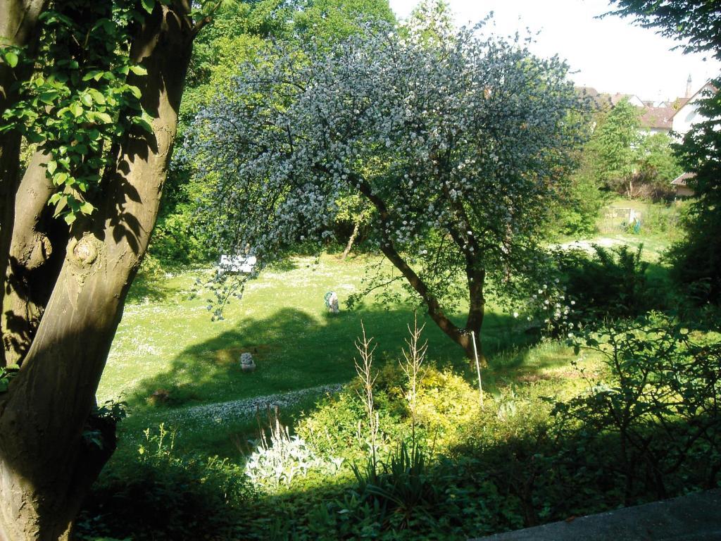 Hotel B&B Bredl In Der Villa Ballestrem Straubing Quarto foto
